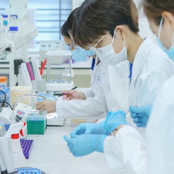 Nghiên cứu thành công Bào tử lợi khuẩn đa chủng Tiền hoạt hóa ngừng tiêu chảy trong 30 phút